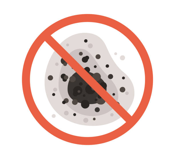 Forensic Mold Investigation in Haverhill, MA